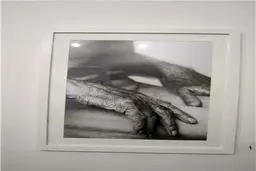 پدر عریانی که سوژه عکاسی پسرش شد+ تصاویر