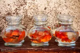 فروش ماهی قرمز در آستانه سال نو/تصاویر