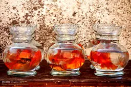 فروش ماهی قرمز در آستانه سال نو/تصاویر