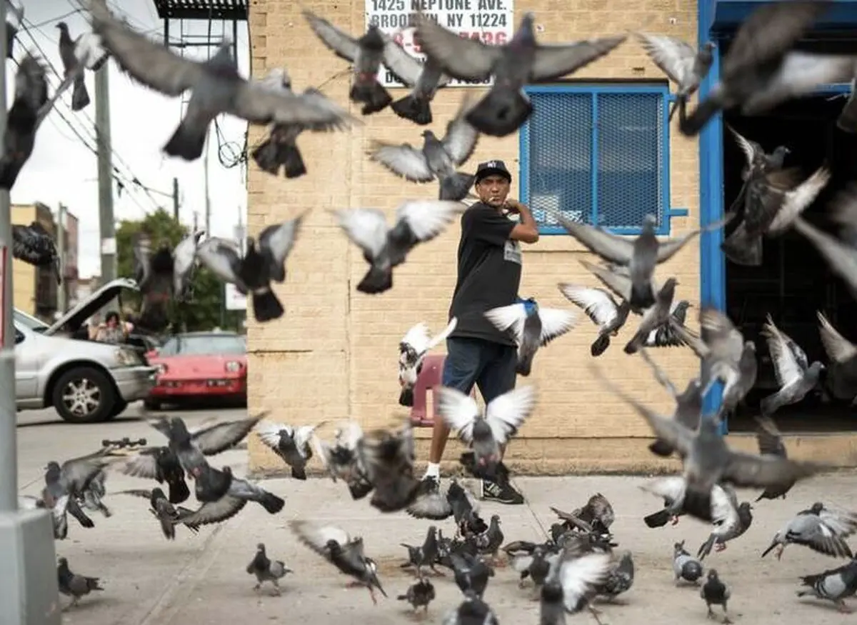 نمایی دیدنی و متفاوت از عکس روز نشنال جئوگرافیک/ عکس