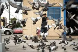 نمایی دیدنی و متفاوت از عکس روز نشنال جئوگرافیک/ عکس