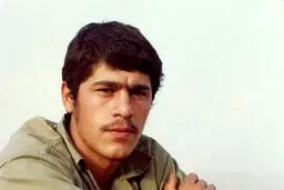 غواص یعنی مرغابی امام زمان(عج) +عکس