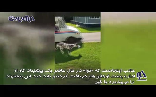 سگ پستچی استخدام می شود!