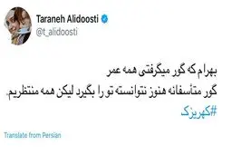 توئیت معنادار ترانه علیدوستی به برای گم شدن سعید مرتضوی/عکس