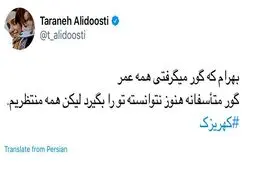 توئیت معنادار ترانه علیدوستی به برای گم شدن سعید مرتضوی/عکس
