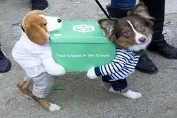 تصاویر مهمانی جالب و دیدنی سگ های خانگی