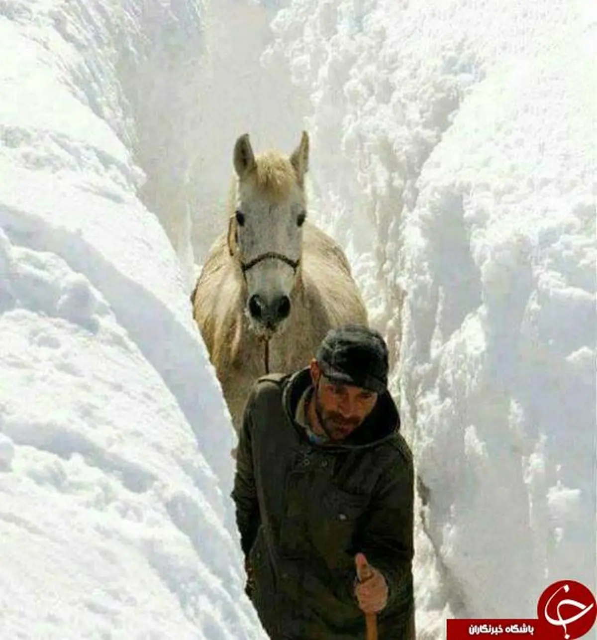 چهار فصل ایران را باید دید + 17 تصویر