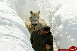 چهار فصل ایران را باید دید + 17 تصویر