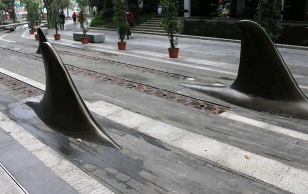 کوسه ها به خیابان آمدند / تصاویر