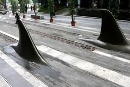 کوسه ها به خیابان آمدند / تصاویر