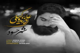 آهنگ جدید و شنیدنی "شهر حسود" از علی زندوکیلی/دانلود کنید