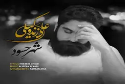 آهنگ جدید و شنیدنی "شهر حسود" از علی زندوکیلی/دانلود کنید