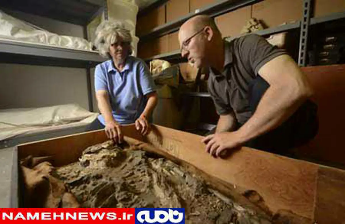 تصویر کمتر دیده شده اسکلت 6500 ساله