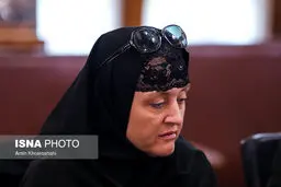پوشش جالب نماینده سنای جمهوری چک در دیدار لاریجانی/عکس