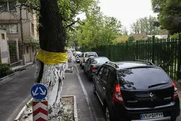 تصاویر/ صفهای طویل بنزین در شهر