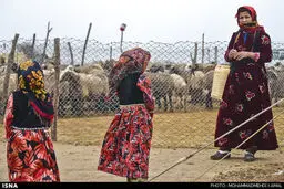 کوچ‌نشینان کرخه (+عکس)