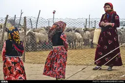 کوچ‌نشینان کرخه (+عکس)