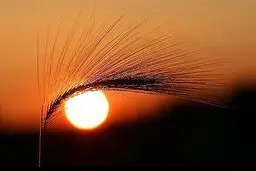 عکس‌های تماشایی و بدون شرح