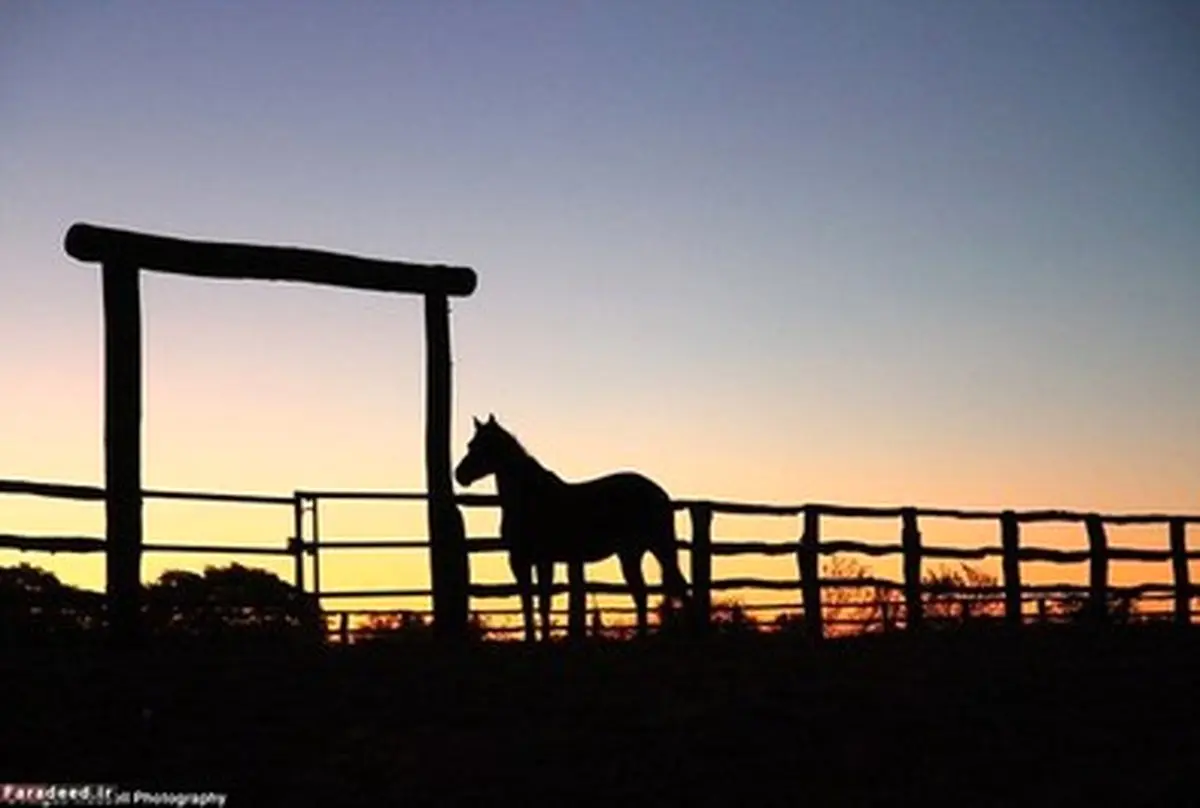 بزرگترین ملک شخصی دنیا به فروش می‌رسد/تصاویر