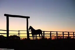 بزرگترین ملک شخصی دنیا به فروش می‌رسد/تصاویر