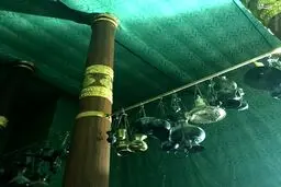 عکس/ هشت تصویر از داخل کعبه