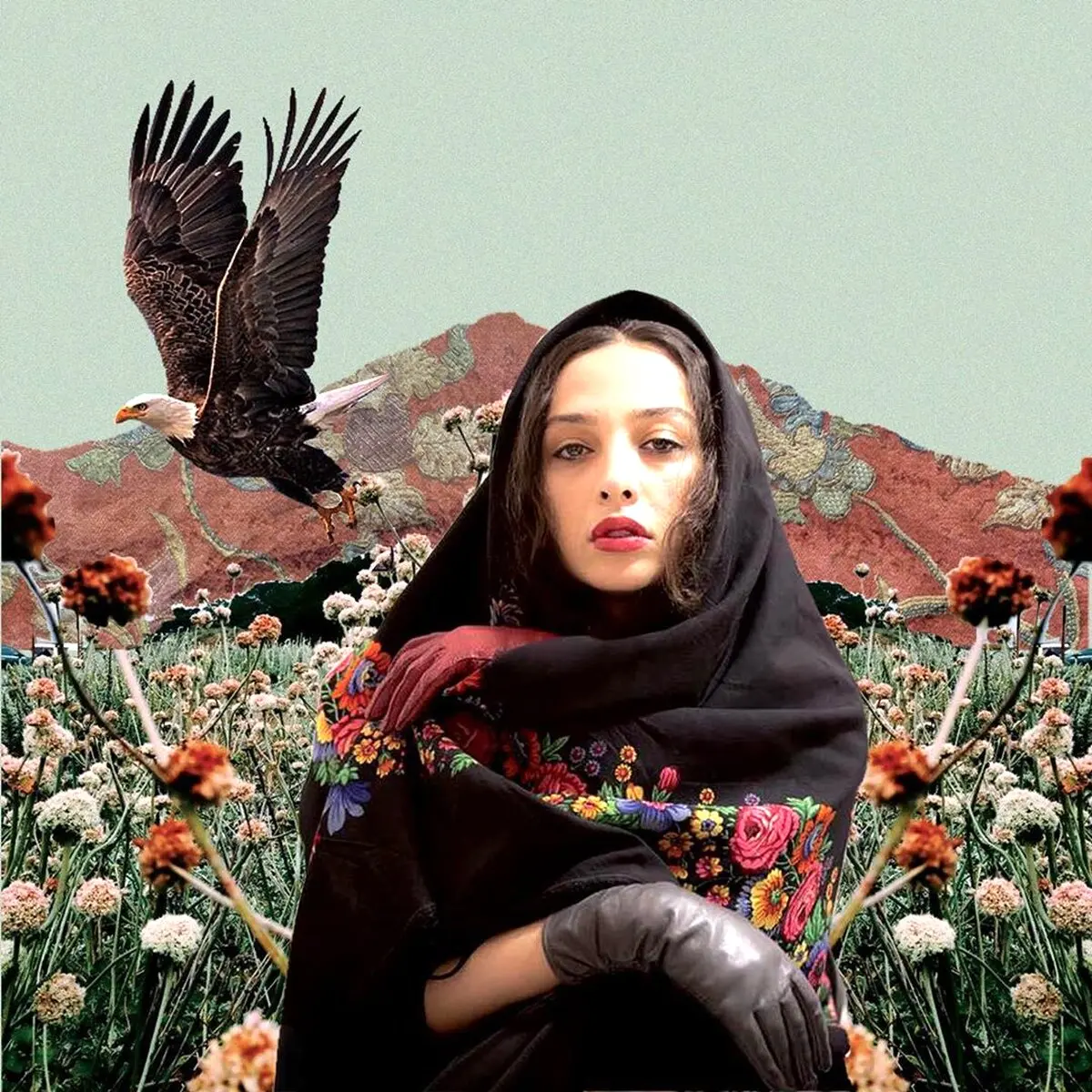 طراحی جالب روی عکس آناهیتا درگاهی + عکس