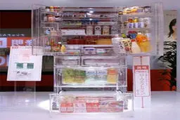 یخچال های ویژه و منحصر به فرد+ تصاویر