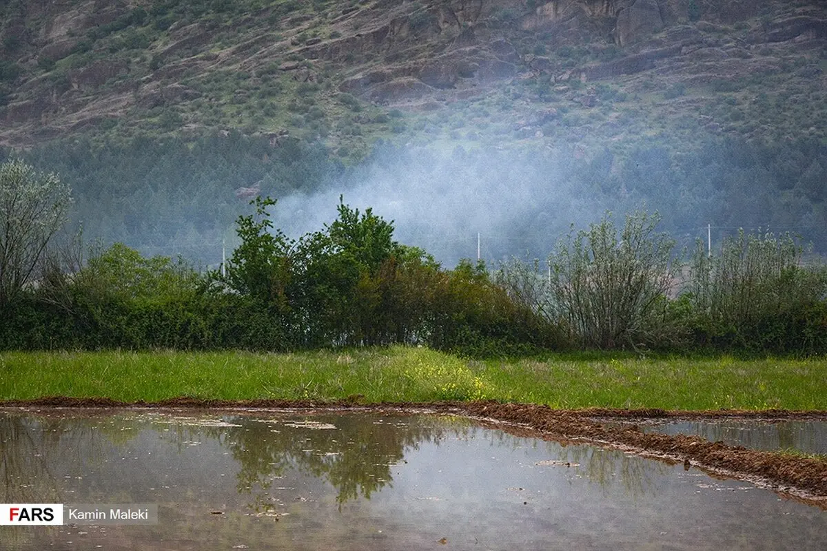 عکس/ طبیعت دلنشین لرستان
