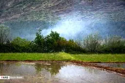 عکس/ طبیعت دلنشین لرستان
