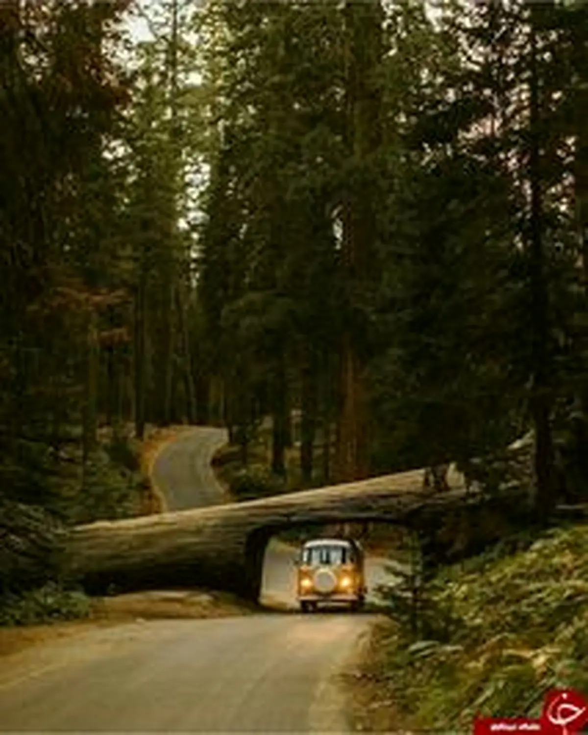 تصاویری دیدنی از زندگی در «ون» و سفر به دور دنیا