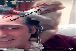 استورى عجيب اميرمهدى ژوله با یک میمون/عکس