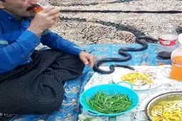 فیلمی عجیب و خبرساز از ماری که نوشابه می‌خورد