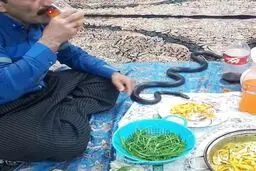 فیلمی عجیب و خبرساز از ماری که نوشابه می‌خورد