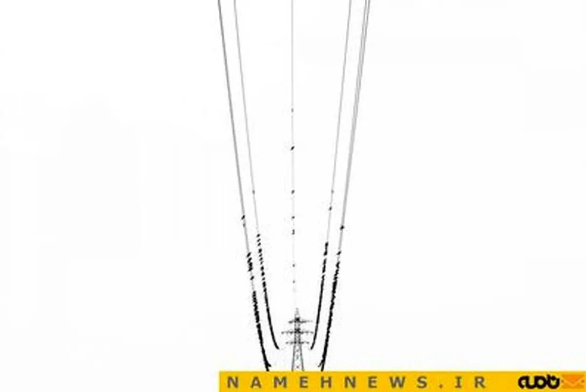 خاص ترین تصاویر از پرنده ها روی سیم برق