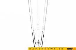 خاص ترین تصاویر از پرنده ها روی سیم برق