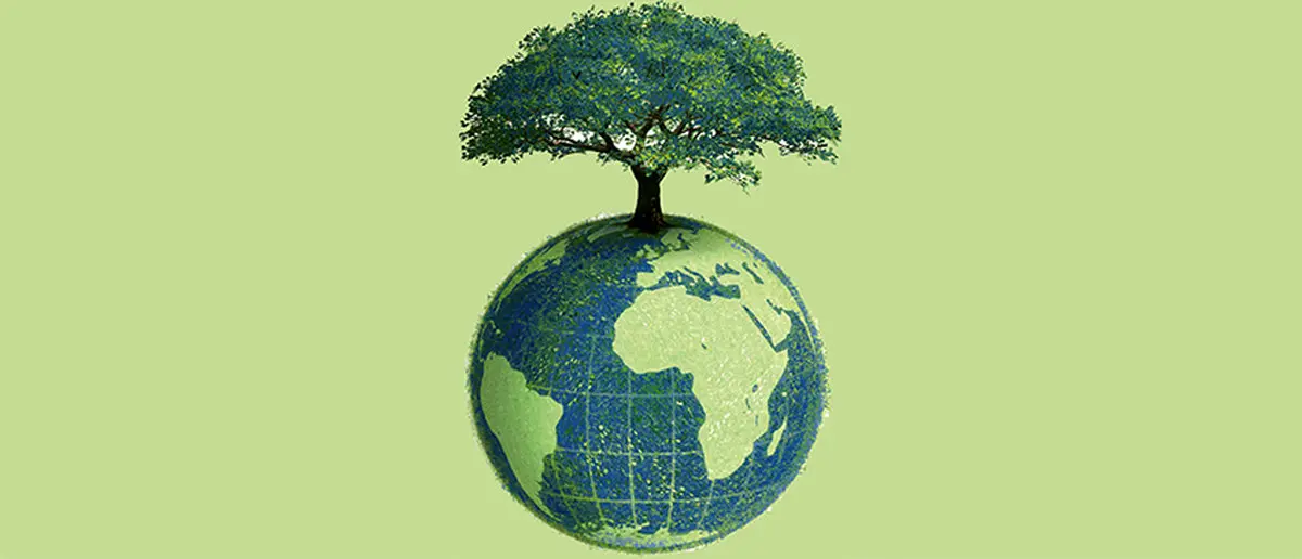 6 راه زندگی سبز می تواند شما را سالم تر کند