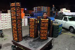 میوه‌های شب عید اینجاست/ تصاویر