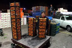 میوه‌های شب عید اینجاست/ تصاویر