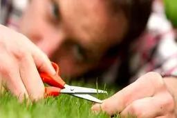 4 راه برای متوقف کردن کمال گرایی مخرب