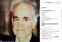 محمدرضا شریفی‌نیا عزادار شد