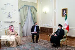 دلایل بازگشت سفیر امارات به ایران