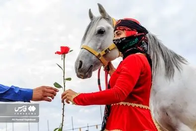عشایر
