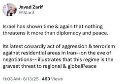 ظریف: اسرائیل بزرگ‌ترین تهدید برای صلح منطقه‌ای و جهانی است