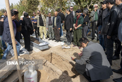 همایون ارشادی