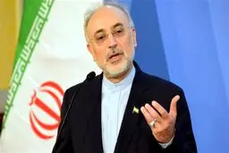 صالحی : یک واقعیت است که ما درون‌گرا و منزوی شدیم