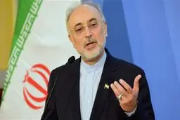 صالحی نامزد انتخابات می‌شود