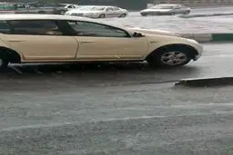 ببینید رگبار شدید باران در شمال شرق تهران