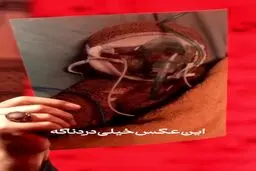 حاج سید مجید بنی فاطمه: کودکان ما نظامی نبودند