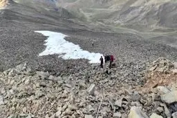 پیرزن و نوه اش در توچال دردسر ساز شدند!