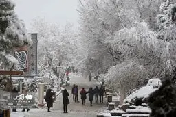 تصاویر دیدنی از شادی مردم در  زاینده رود برفی 